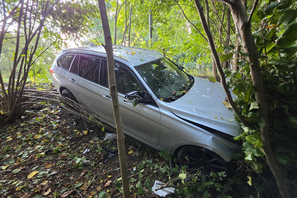 Der BMW landete in einem Gebüsch neben der Straße.