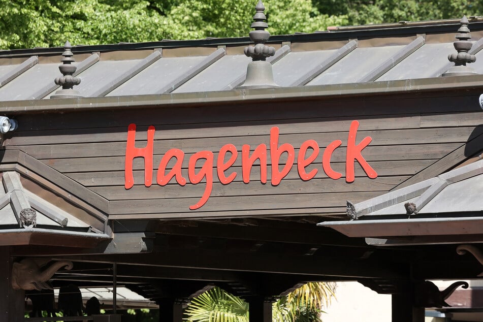 Die NDR-Sendung "Leopard, Seebär & Co." blickt hinter die Kulissen in Hagenbeck. (Symbolbild)