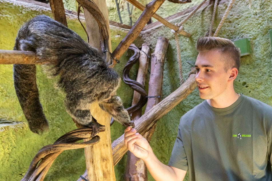 Versuch für einen Tag: Tierpfleger im Zoo sein ist das reinste Dschungel-Abenteuer