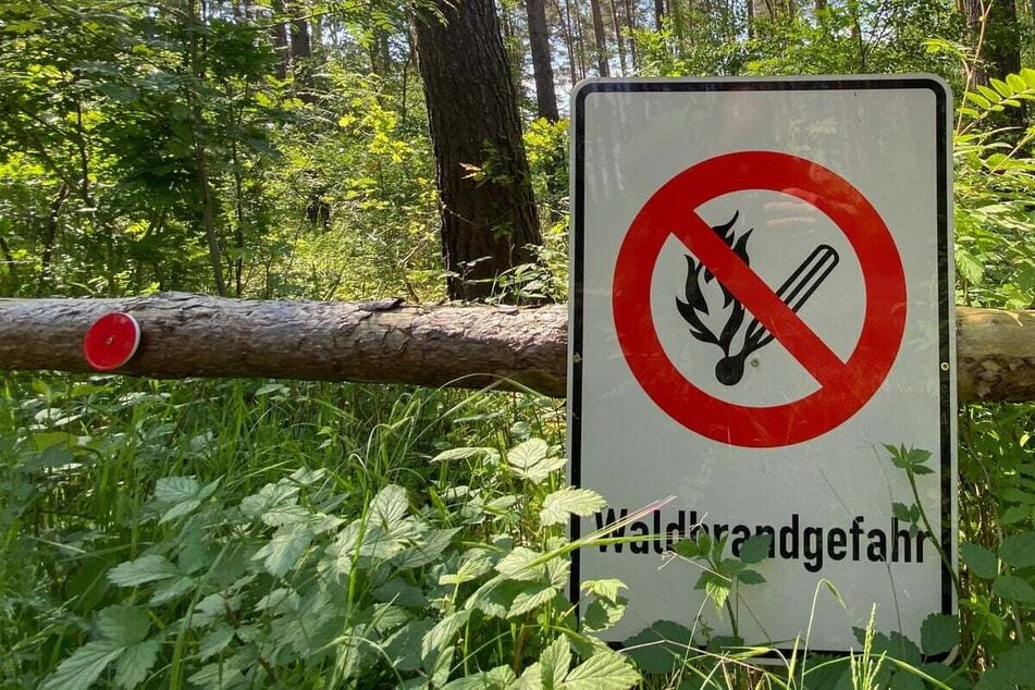 Achtung: Hier herrscht in Thüringen hohe bis sehr hohe Waldbrandgefahr!