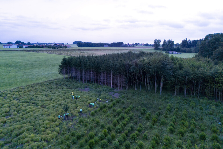 Auf dem geplanten Bohrfeld unweit des Ammersees setzte Greenpeace ein Zeichen.