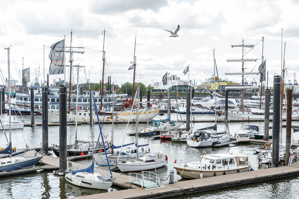Sportboote im Cityhafen Hamburg: Viele Bootsinhaber dürften sich bei AWN ausgestattet haben - das Unternehmen gilt deutschlandweit als größter Händler in seinem Gebiet.