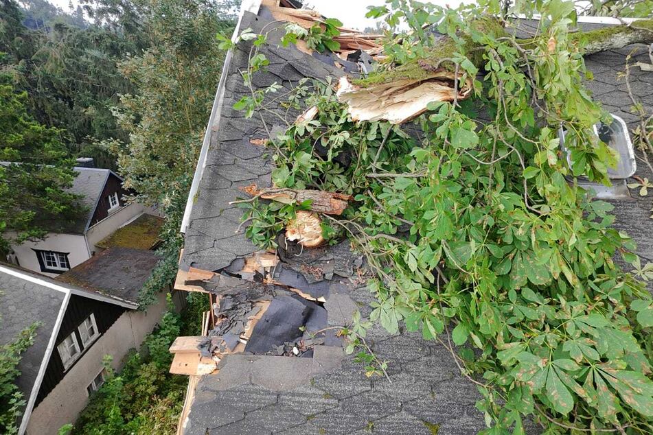 Durch den Aufprall des Baumes wurde das Dach sichtbar zerstört.