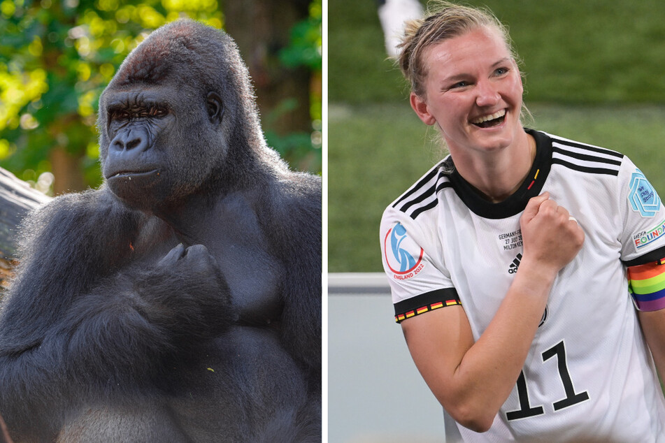 Gorilla Boss "Mapema" drückt DFB-Star Alexandra Popp am Sonntag im EM-Finale gegen England besonders fest die Daumen.