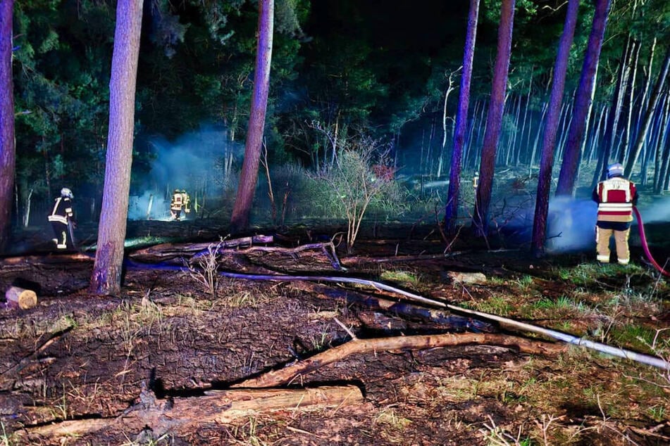 Durch das schnelle Eingreifen der Feuerwehr konnten das Feuer an der Landstraße 88 noch rechtzeitig eingedämmt werden.