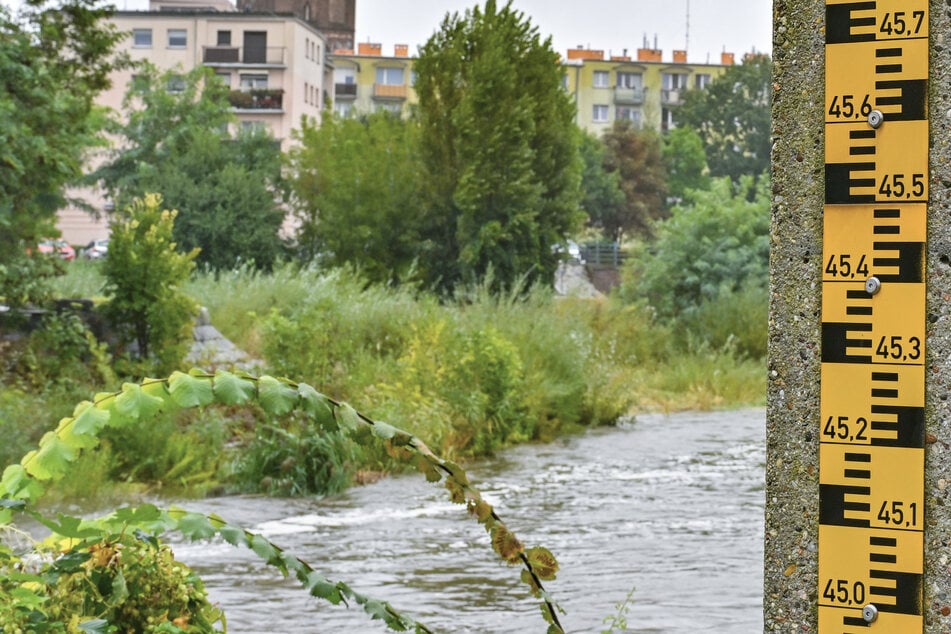 Der Fluss Neiße zieht sich - zumindest in der Lausitz - in sein ursprüngliches Flussbett zurück.