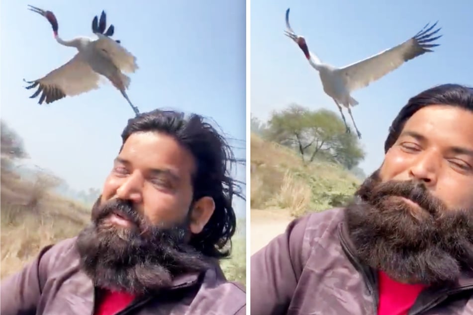 Arif Gurjar (30) und sein Freund Sarus genießen einen gemeinsamen Ausflug.