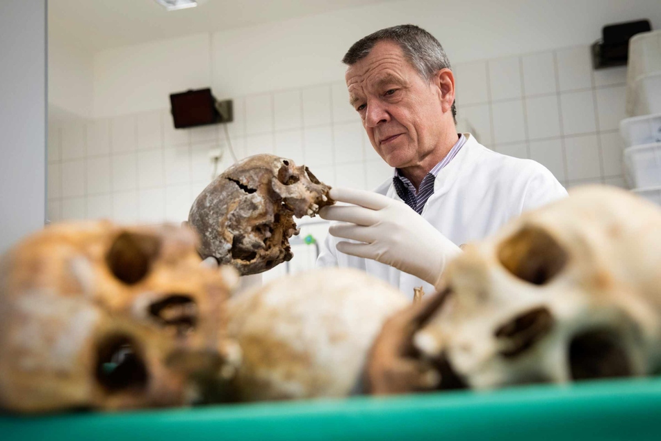 Klaus Püschel, Leiter des Instituts für Rechtsmedizin in Hamburg, betrachtet im Anthropologischen Labor des Instituts Schädel- und Knochenfunde.