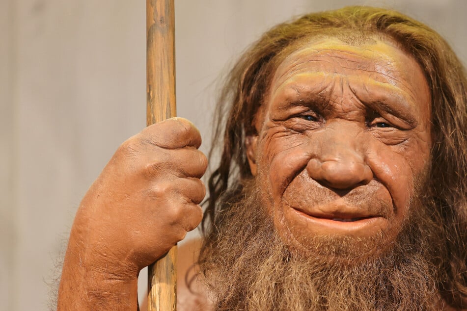 Leipzig: "Das lässt mir die Neandertaler viel menschlicher erscheinen": Leipziger Forscher machen Entdeckung