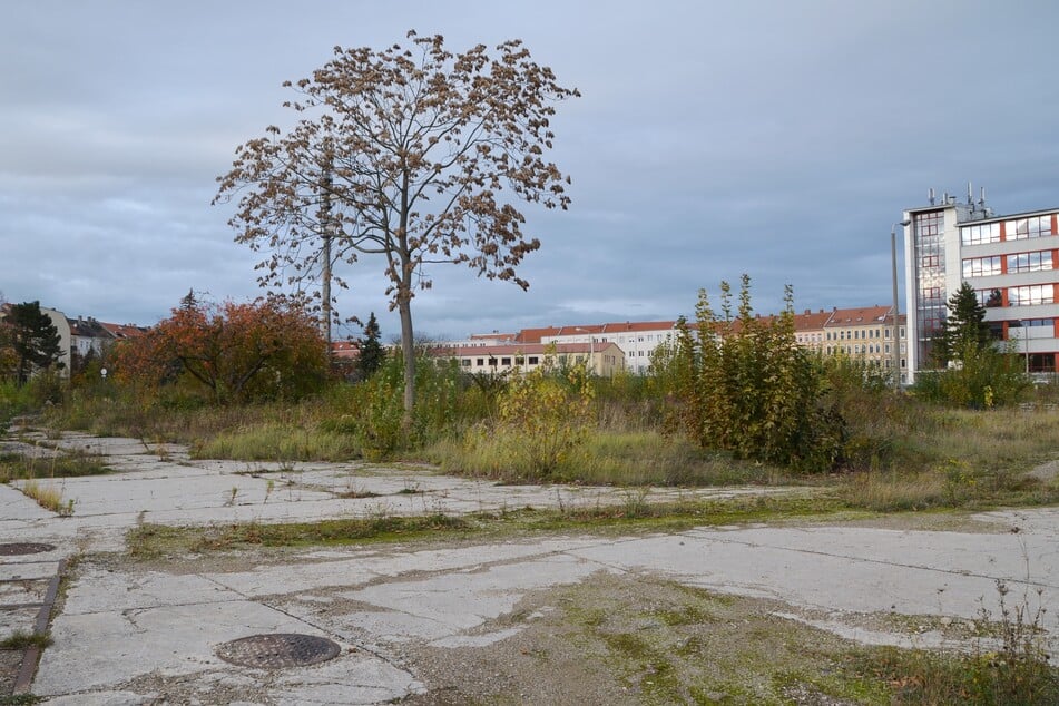 Zwischen der Schwimmhalle Südost in der Kolmstraße und der Wendeschleife der Straßenbahnlinie 4 in der Holzhäuser Straße soll ein nagelneues Wohngebiet mit Oberschule, Sportstätte und Kita entstehen.