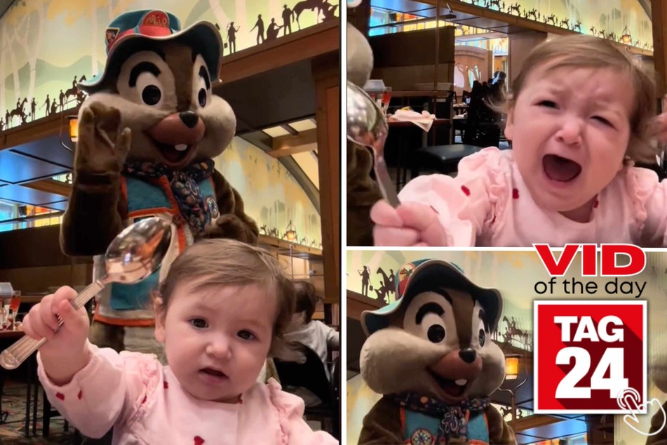 Today's Viral Video of the Day features a toddler's freightened reaction to Chip at Disney.