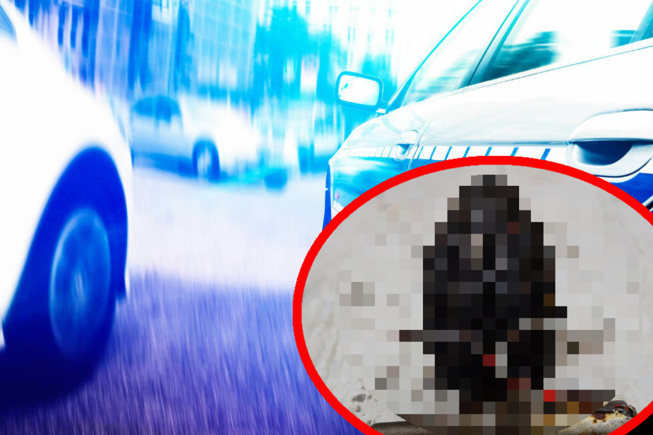 Frau mit seltsamem Fundstück sorgt auf Polizeiwache für Entsetzen