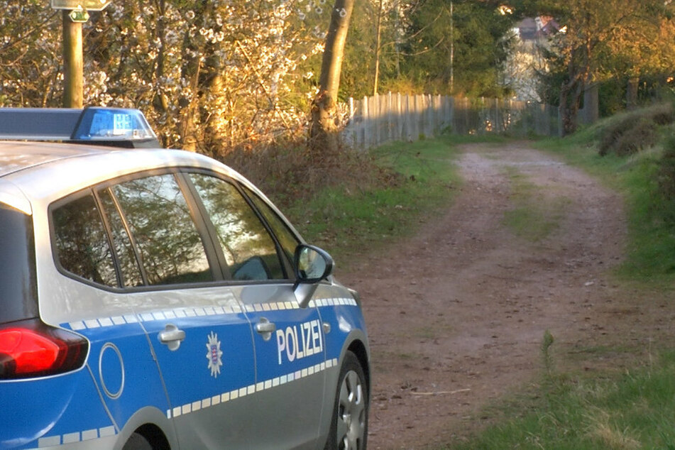 Berlin: Mann vor 29 Jahren getötet? Polizei durchkämmt Waldstück