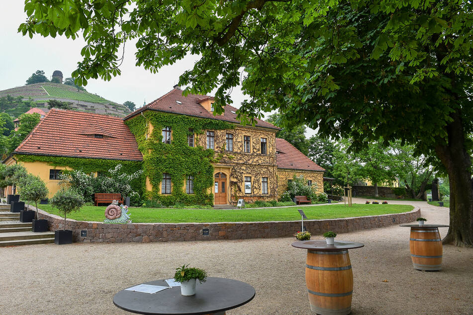 Radebeul lädt ein.