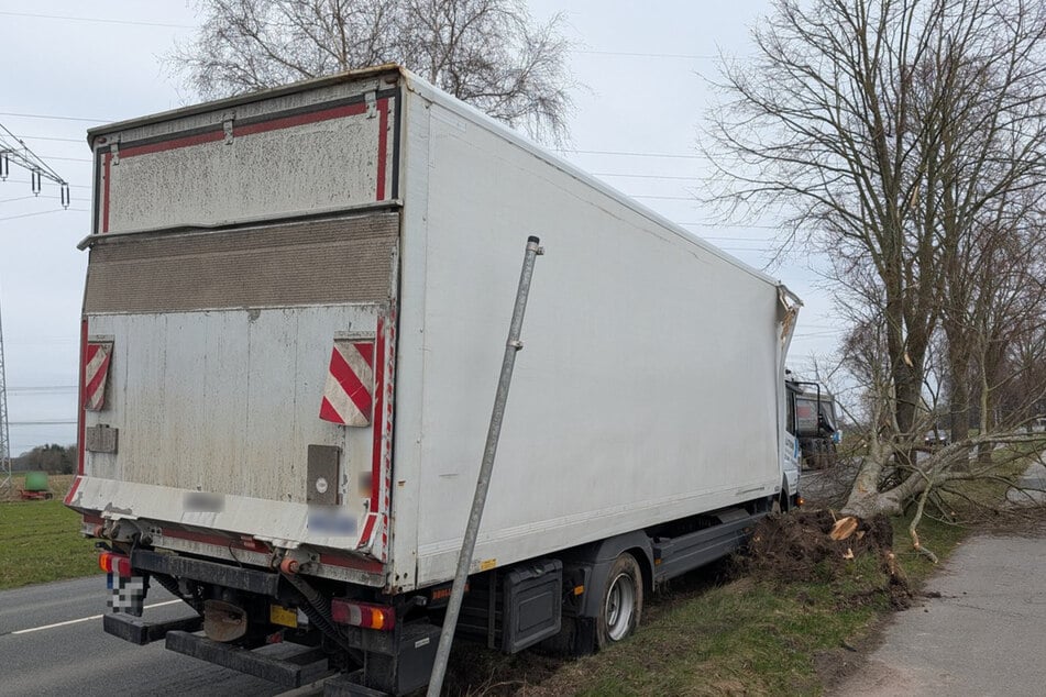Der beim Unfall beschädigte Baum musste komplett beseitigt werden.