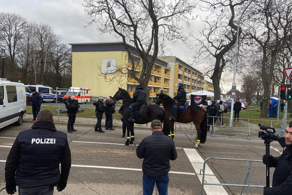 Auch Pferde kommen in Riesa zum Einsatz.