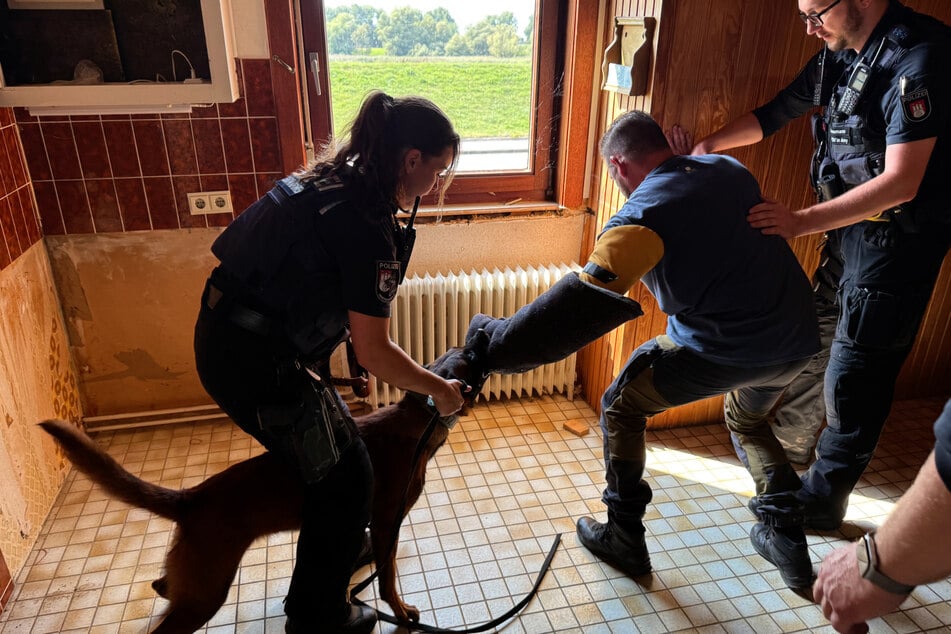 Mit einem Biss in den Arm wird der Täter festgemacht, auf Kommando lässt Juno sofort wieder los.