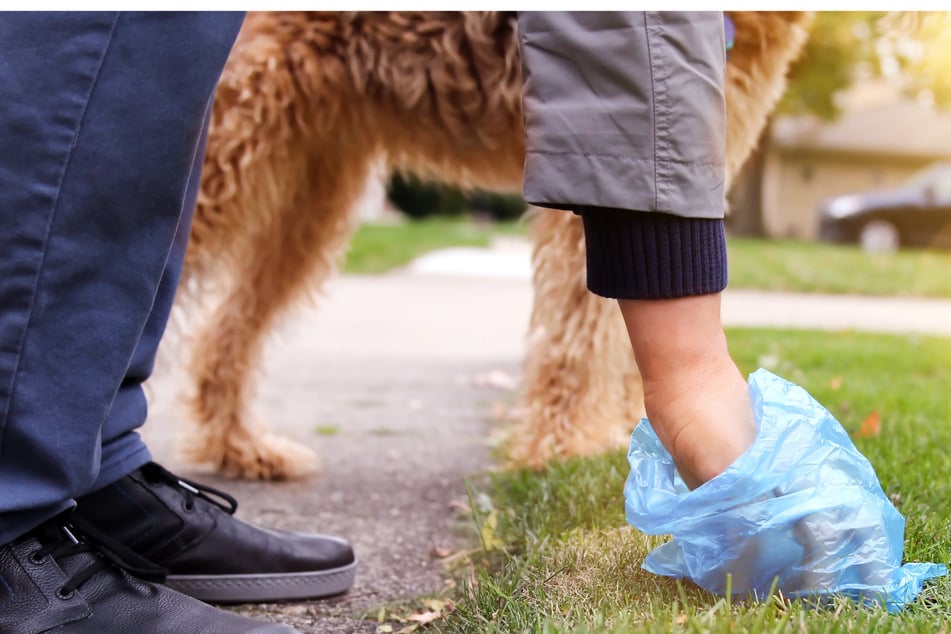 Ein Mann tötete einen anderen, weil sein Hund sein Geschäft auf dessen Grundstück verrichtet hatte. (Symbolbild)