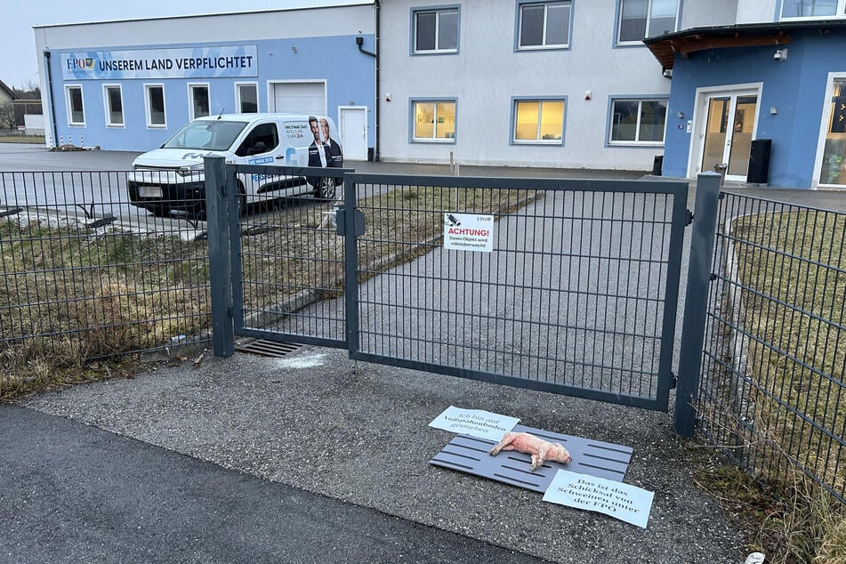 Das tote Schwein wurde vor der Parteizentrale der FPÖ in Nordösterreich gefunden.