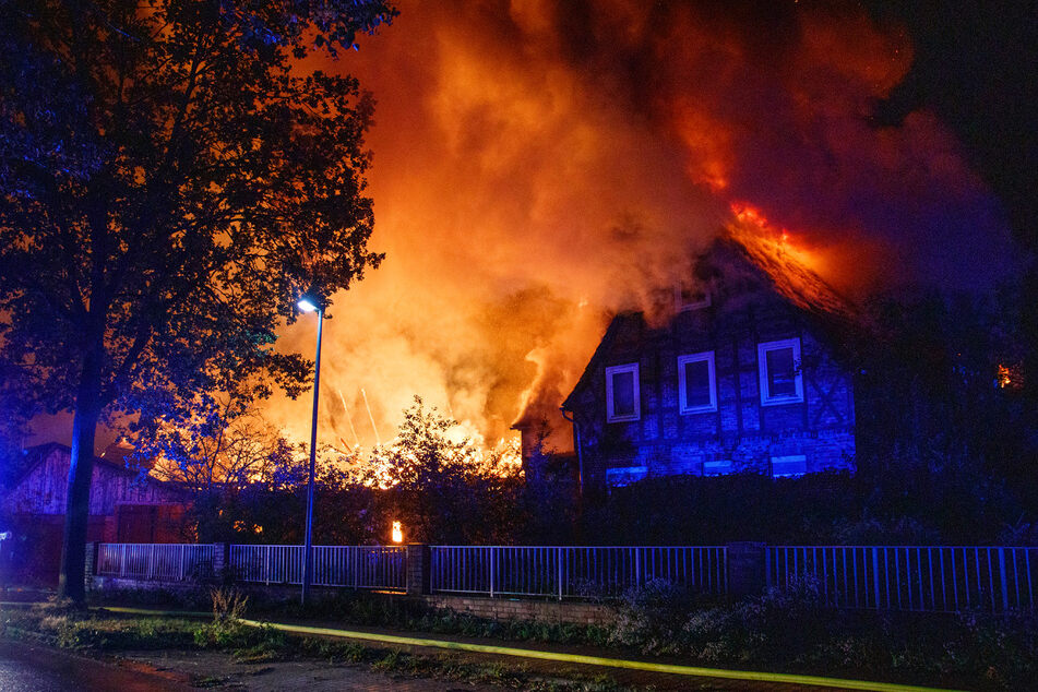 Flammeninferno zerstört Stall und Wohnhaus: Millionenschaden!