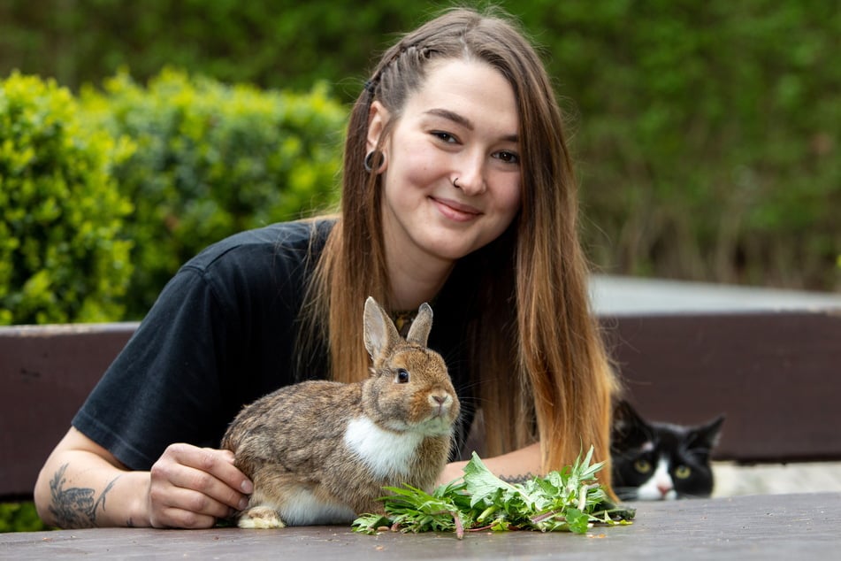 Emilie Kießling kümmert sich im Tierheim um das süße Kaninchen. Kater Murkel schaut im Hintergrund neugierig zu.