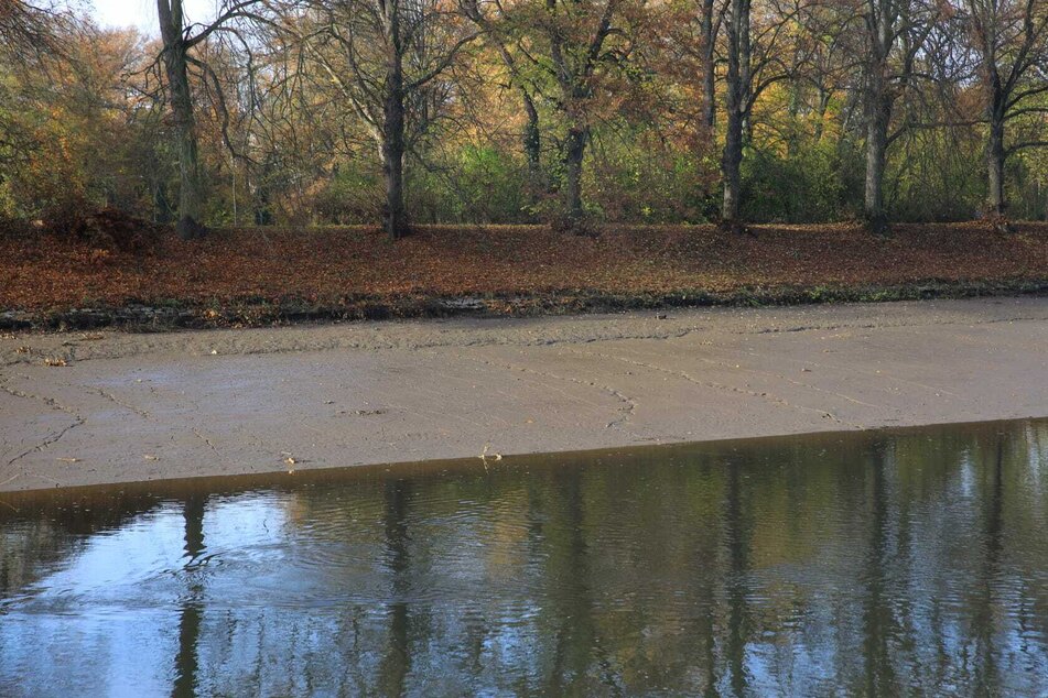 Vor allem im Clara-Zetkin-Park macht sich das bemerkbar, wo sich statt eines Flusses plötzlich ein Schlammstrand gebildet hat.