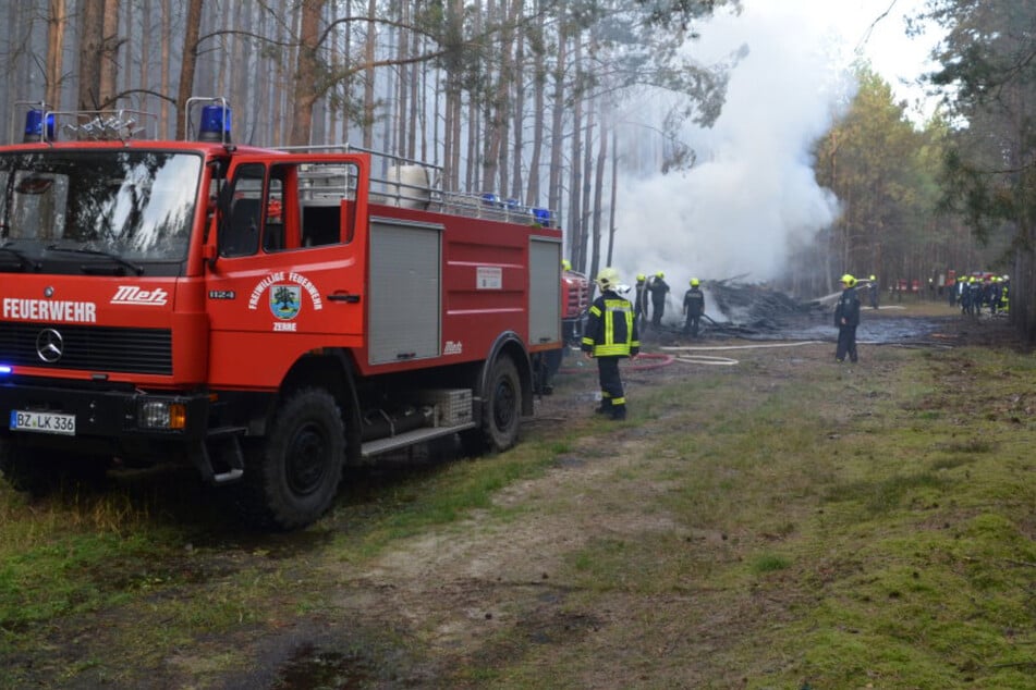 Waldbrand an der Grenze zu Sachsen: 60 Kräfte im Einsatz, Polizei ermittelt
