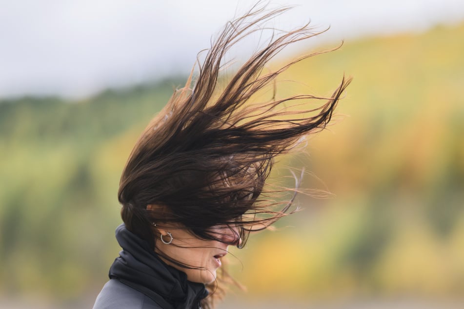 Ab Windstärke 5 bis 6 kann es passieren, dass Eure Haare sich selbstständig machen. (Symbolfoto)