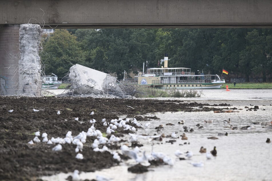 Teile der Neustädter Seite wurde von der Elbe bereits überflutet.