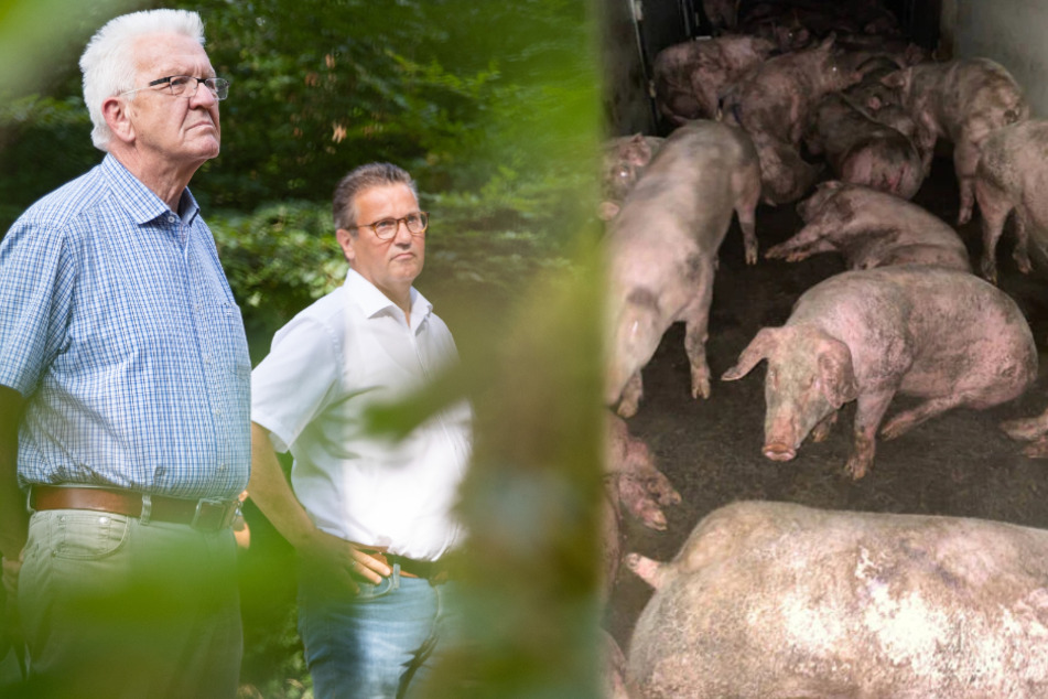 Baden-Württembergs Ministerpräsident Winfried Kretschmann (72, Grüne, links im Bild) stärkt Agrarminister Peter Hauk (59, CDU) auch nach den Schlachthof-Skandalen den Rücken. (Fotomontage)