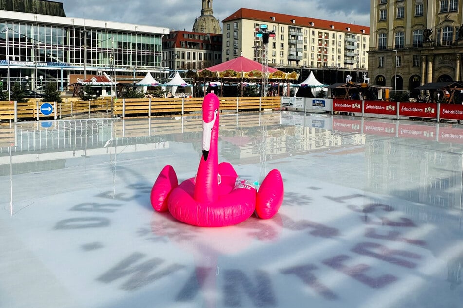 Hoffentlich wird es nicht zu warm: Zum Jahresanfang 2024 stand die Eisbahn unter Wasser. Auf dem "Teich" fühlte sich nur der Flamingo wohl.