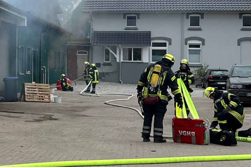 Feuer auf Bauernhof im Norden: Rund 60 Tiere in Scheune gefangen