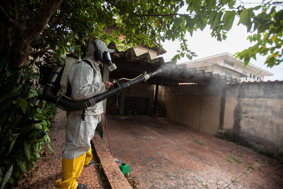 In Brasilien wurden seit Jahresbeginn rund 1,9 Millionen wahrscheinliche Infektionen mit dem Dengue-Virus registriert.