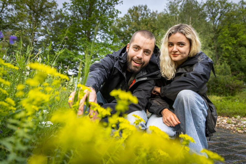 Chemnitz: Chemnitz: So funktioniert der Pflanzen-Sex im Botanischen Garten