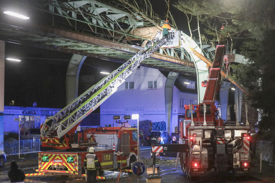 40 Meter lang! Baum stürzt auf Wuppertaler Schwebebahn - Statiker im Einsatz