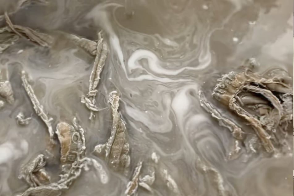 Jednak akcja z kałem nie przyszła w najmniej odpowiednim momencie – koc Jessiki w końcu został wyprany.