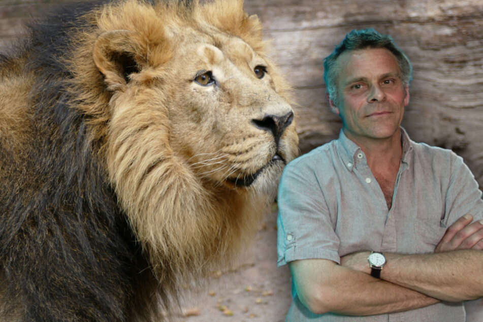 Der Direktor des Tiergartens Nürnberg, Dag Encke, verteidigt die Debatte um den Löwen Subali.