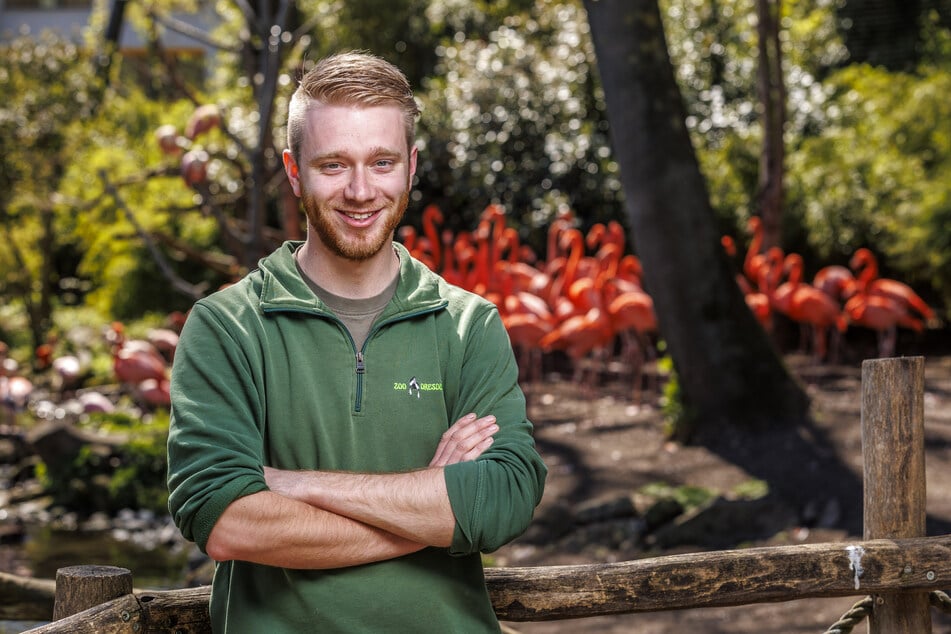 Für Tierpfleger Jonas Freudenberg (24) sind die auffällig gefärbten Tiere alles andere als langweilig.