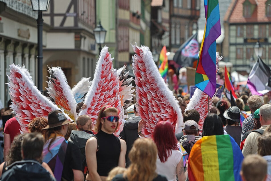 Am Samstag fand der 4. Christopher Street Day in Wernigerode statt. (Archivfoto)