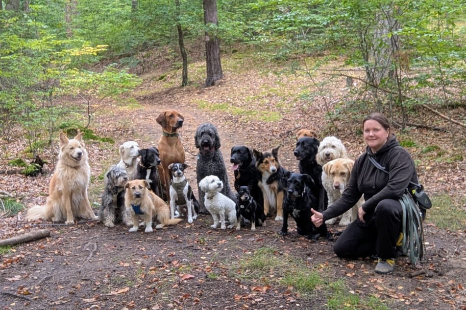 Jenny Ziegler každý den vyzvedává psy z domova a po procházce je vrací zpět.
