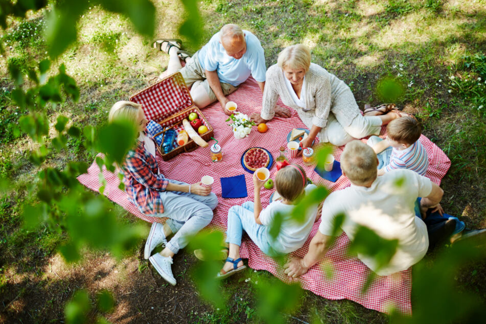 Im Klosterpark Altzella erwartet Euch ein Klosterpicknick mit Live-Musik.