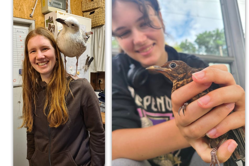 Ronja Fulsche (l., 27), Stationsleiterin der Wildvogelauffangstation, mit einer Möwe, und Lisa Fünfstück (19), Freiwilligendienstleistende, mit einer Amsel.