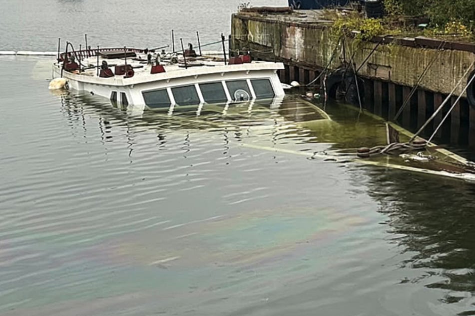 Legendäres Weltreise-Segelboot gesunken: Vater und drei Söhne bauten es über Jahre