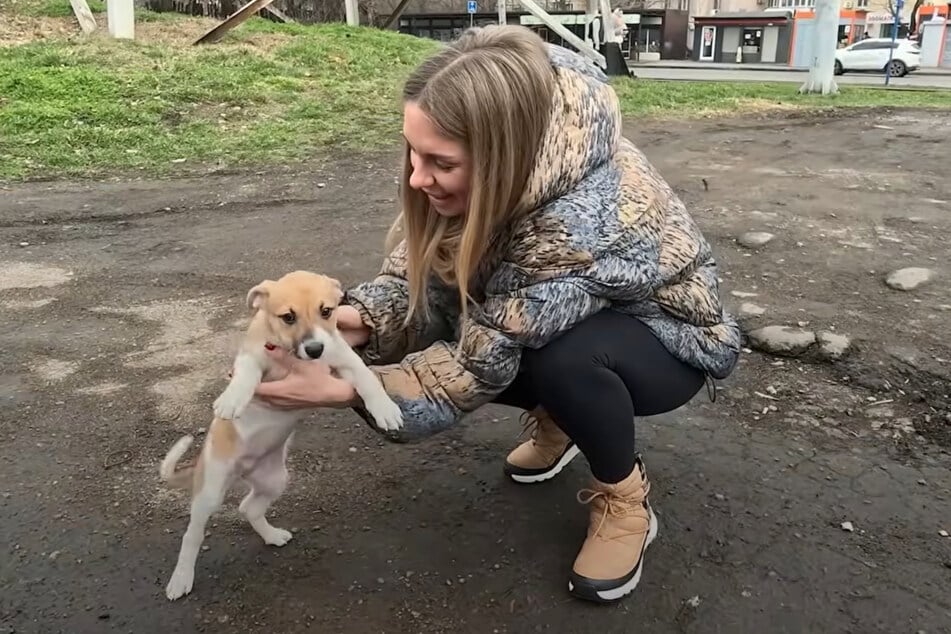 Als Olena dieses kleine Welpen-Mädchen sah, war sie sich sicher, dass es jemand vermisste.