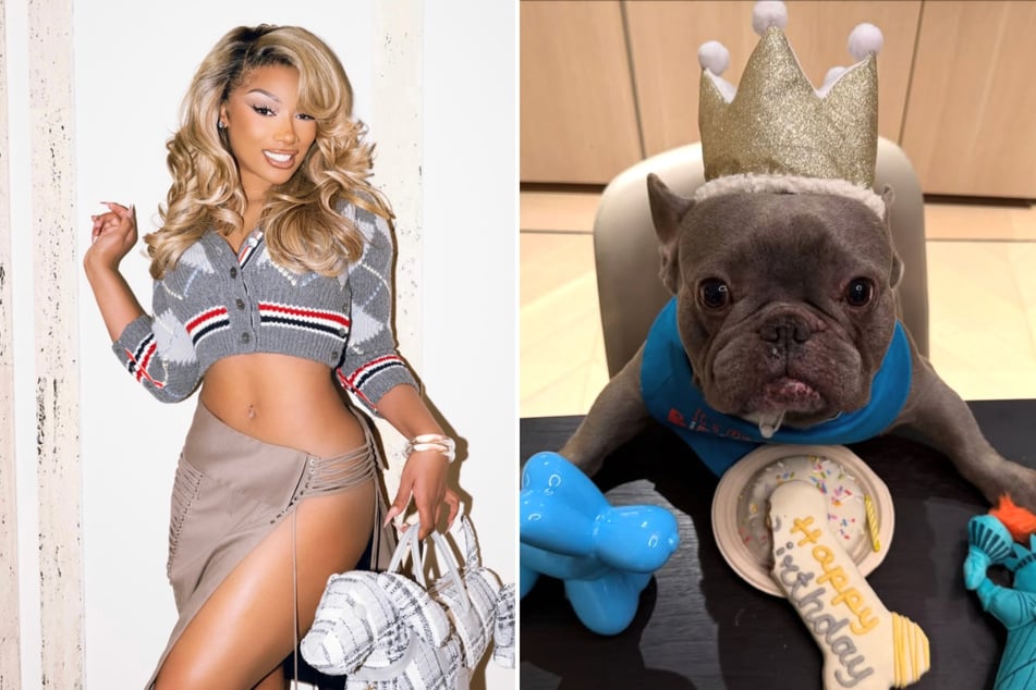 Megan Thee Stallion celebrated her dog 4oe's birthday in epic style over the weekend.