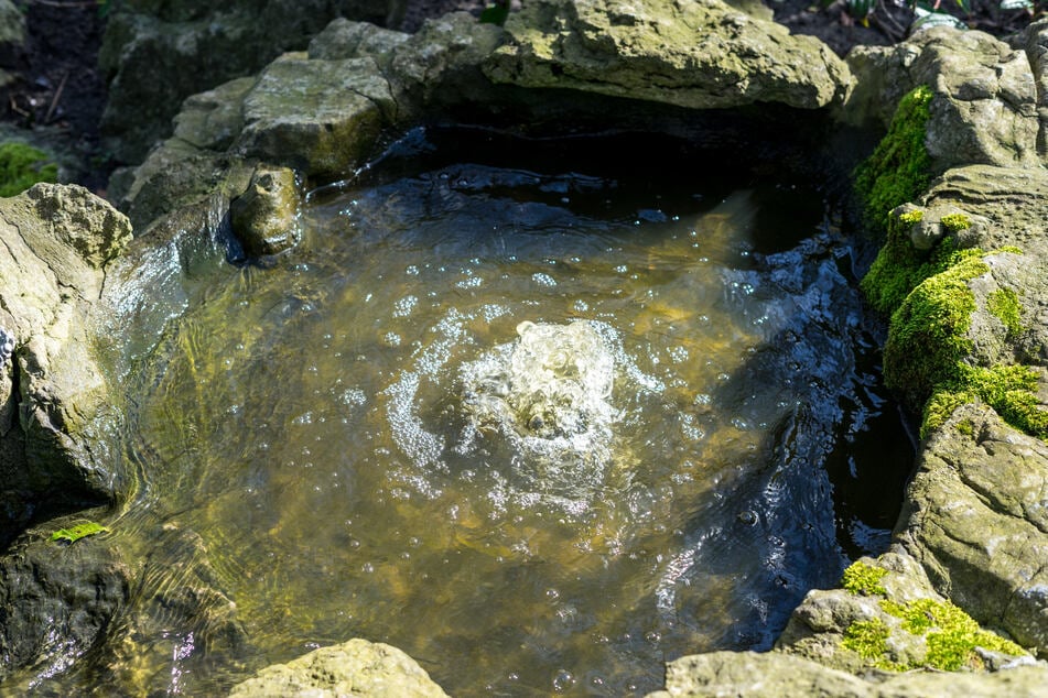 Sprudelndes Wasser, hohe Ufer, fehlende Pflanzen - einem Froschansiedeln kann man vorbeugen.