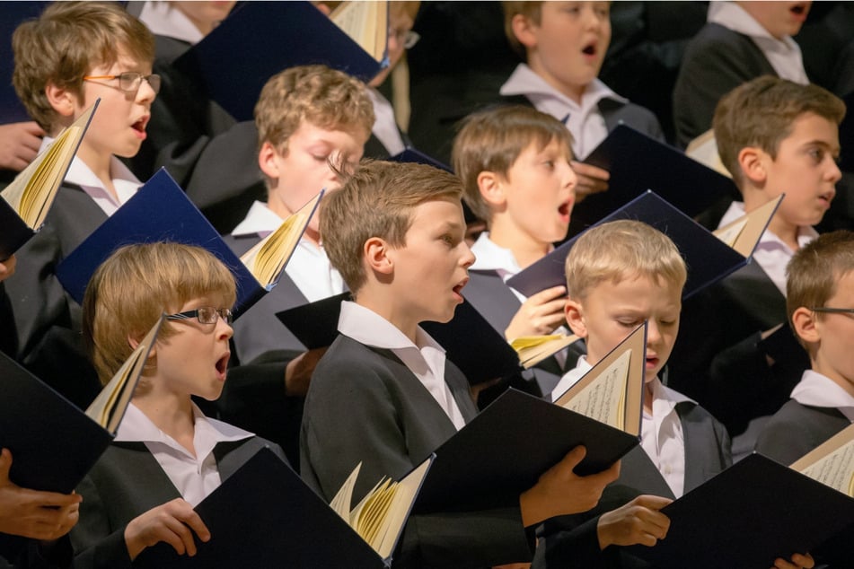 Dresden: Der Kreuzchor gibt ein Konzert im Wald