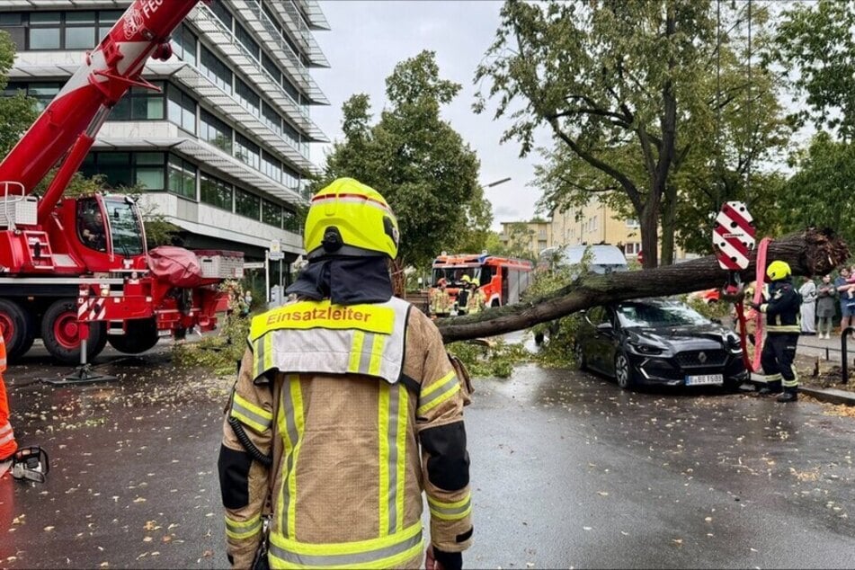 Berlin: Sturm fegt über Berlin: Feuerwehr rückt zu mehr als 90 Einsätzen aus