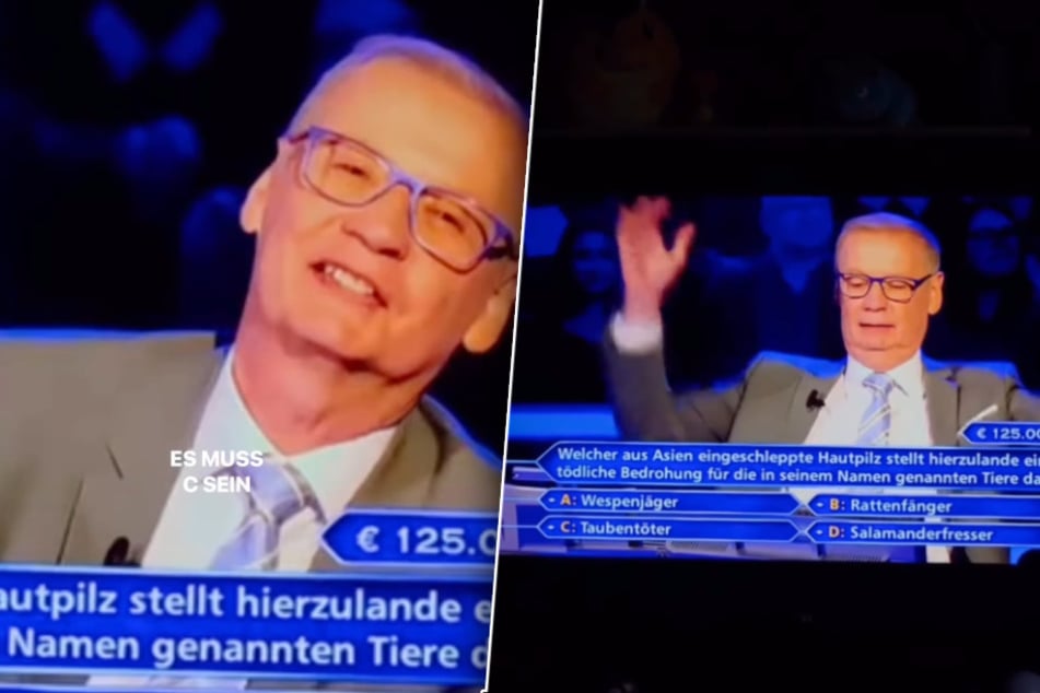 Der Moderator machte sich über Tauben lustig und gab an, auf Antwort C zu hoffen.