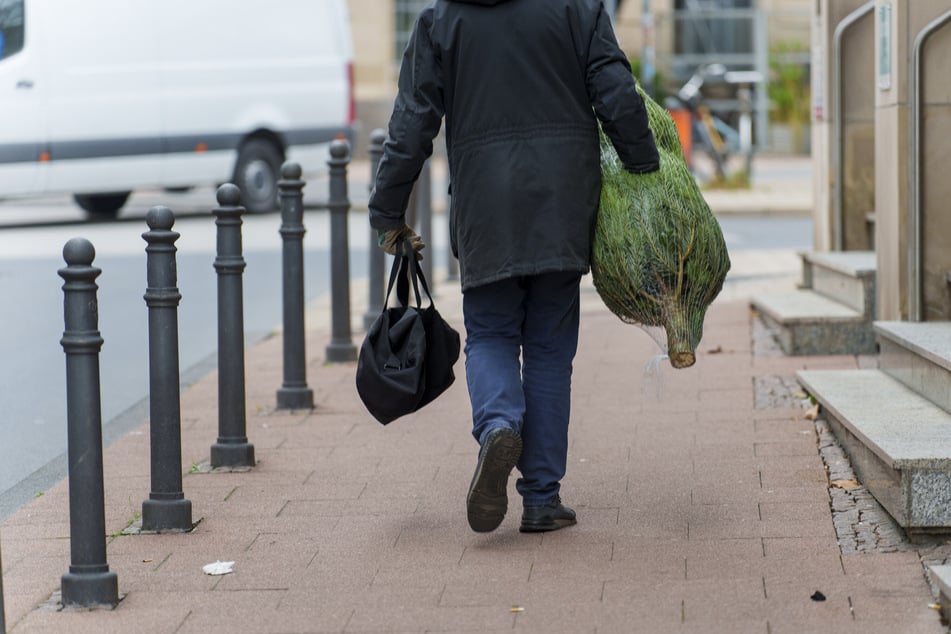 Am Montagnachmittag können Leipzigerinnen und Leipziger kostenlos ausgediente Weihnachtsbäume mit nach Hause nehmen.